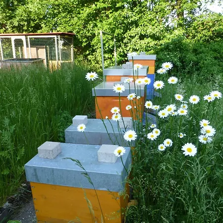 Moorwiesenhof *