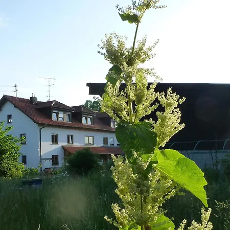 Moorwiesenhof *